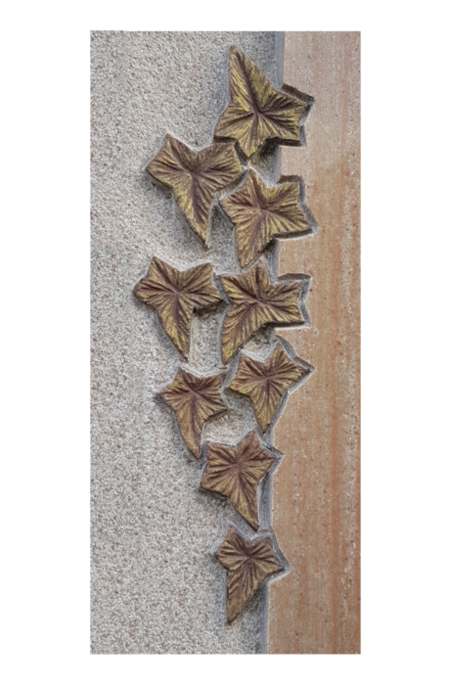 Efeu eingehauen - halbplastisch und getönt