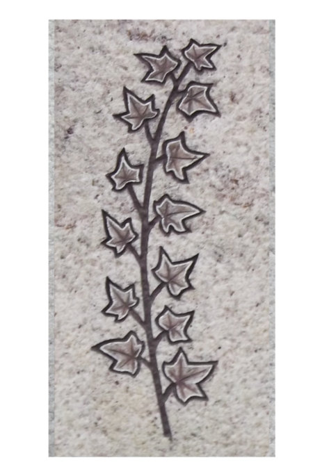 Efeu eingehauen und getönt - hell / dunkel