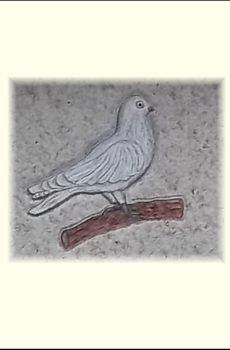 Taube - eingehauen und getönt - farblich gefasst