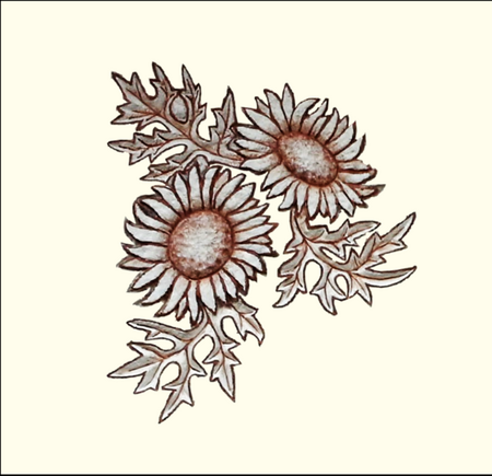 Blumen Symbol - Distel hell / dunkel getönt