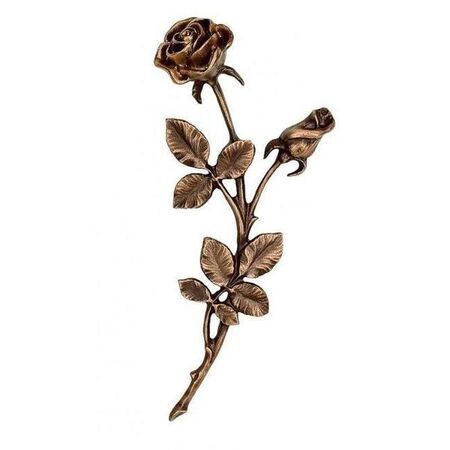 Rose 31960 - Bronze