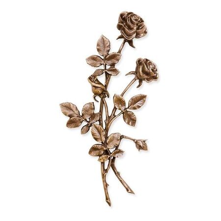 Rose 31960 - Bronze