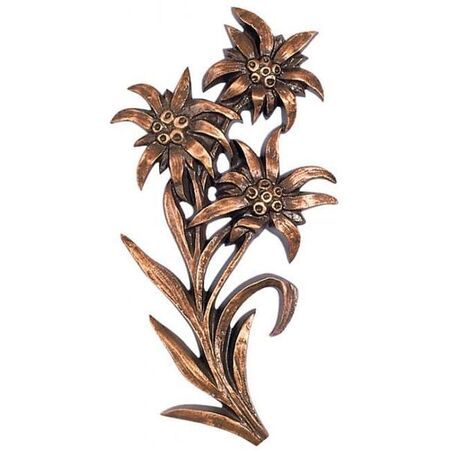 Edelweiß 33980 - Bronze