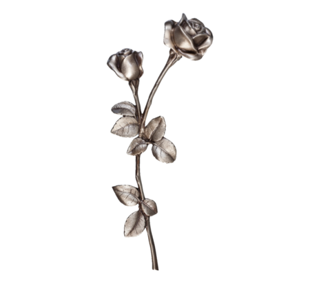 Rose - ES - 328-35-M-00